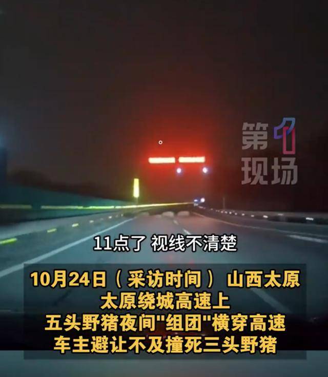 山西一男子高速撞上野豬群，致3死2失蹤:萬(wàn)科物業(yè)服務(wù)有限公司
